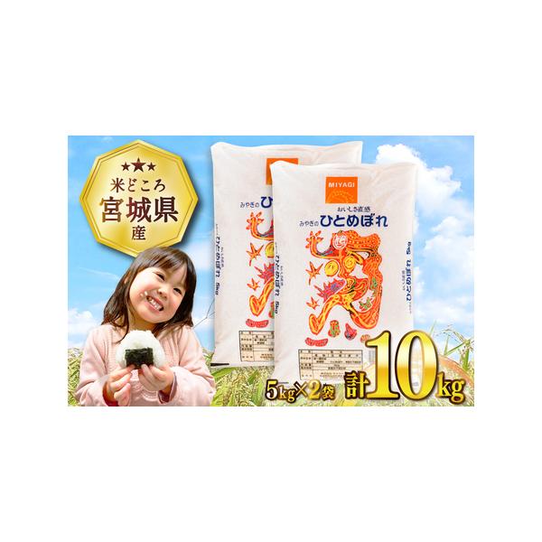 ふるさと納税 宮城県産 ひとめぼれ 10kg (5kg×2袋) 米 [宮城県 気仙沼