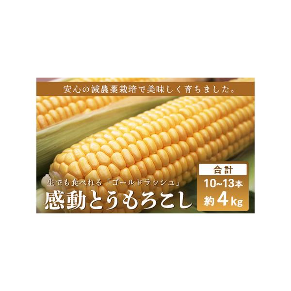 ■ 容量　感動とうもろこし 　約4キロ（10〜13本）×1箱　　【賞味期限】　冷蔵便で届いたらすぐに皮のまま1本ずつ新聞紙で包み、冷蔵庫の野菜室で保存。　2日程度で食べられない場合は皮をむいて1本ずつラップでしっかり包み冷凍保存します。　冷...