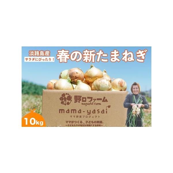 ■ 容量　春の新たまねぎ10kg　■ 配送について　出荷時期は3月〜5月の予定です。　※天候等により、前後する場合がございます。　※長期不在、転居等でお受け取りいただけない場合、再送はいたしかねます。ご了承ください。　タイプ：【常温】
