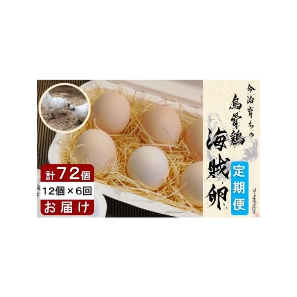 ふるさと納税 海賊卵【烏骨鶏卵】12個×６回【６か月定期便】[VE00840] 愛媛県今治市