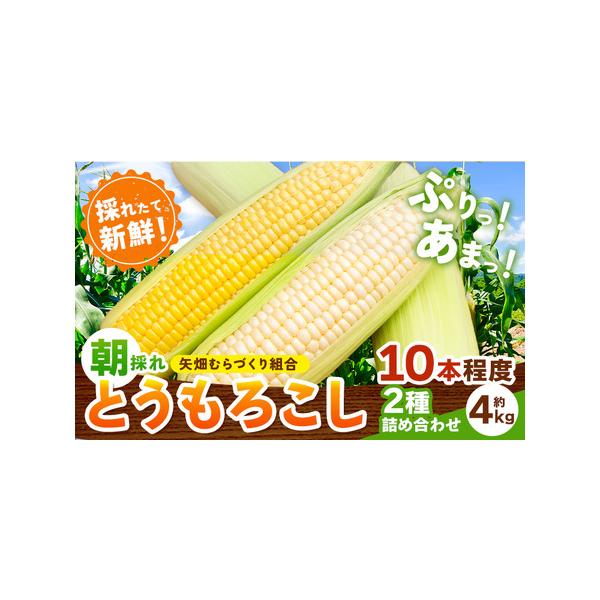 ■ 容量　黄白詰合せ：約4kg・10本程度　※天候などの影響や育成具合により、本数が変動する場合があります。■ 配送について　2026年6月下旬-7月下旬頃出荷　※2025年の発送ではございませんので、ご注意ください。　タイプ：【冷蔵】
