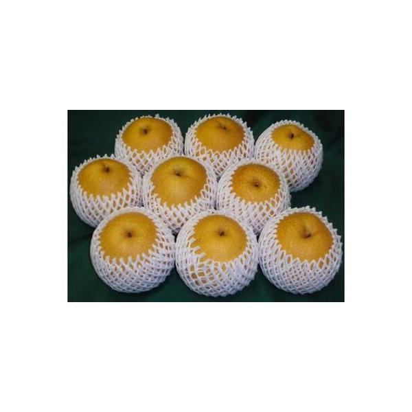 ■ 容量　王秋梨 5kg箱(約6〜12玉)　【消費期限】　常温30日■ 配送について　2025年11月中旬〜2026年1月中旬頃まで発送予定(※配達日の指定不可)　【受付期間】　2025年4月1日〜2025年12月31日　タイプ：【常温】