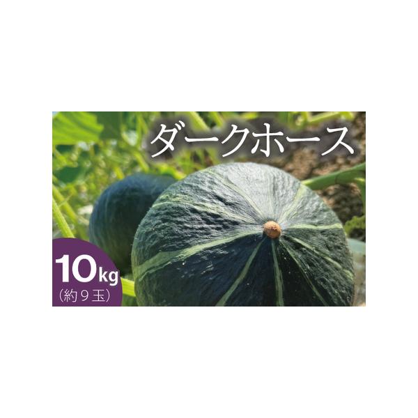 ■ 容量　かぼちゃ10kg　約9玉（重さにより若干前後します）■ 配送について　9月中旬〜10月下旬頃で随時発送　※日時指定はできませんのでご了承ください　タイプ：【常温】