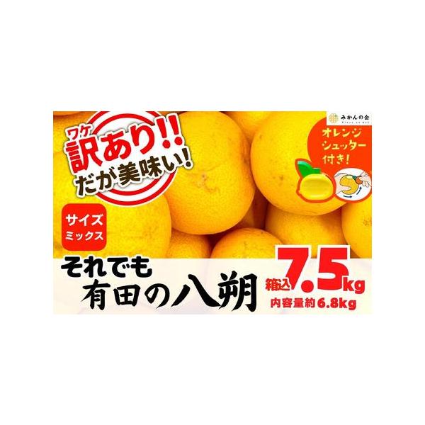 ふるさと納税 八朔 訳あり それでも 有田の八朔 (はっさく) 箱込 7.5kg