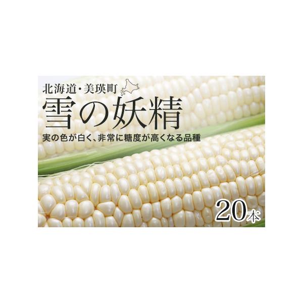 ■ 容量　雪の妖精：20本　※品種は変更になる場合がありますので、あらかじめご了承ください。■ 配送について　※令和８年８月中旬から９月中旬までの発送を予定しておりますが、天候により発送時期が前後する場合があります。あらかじめご了承ください...
