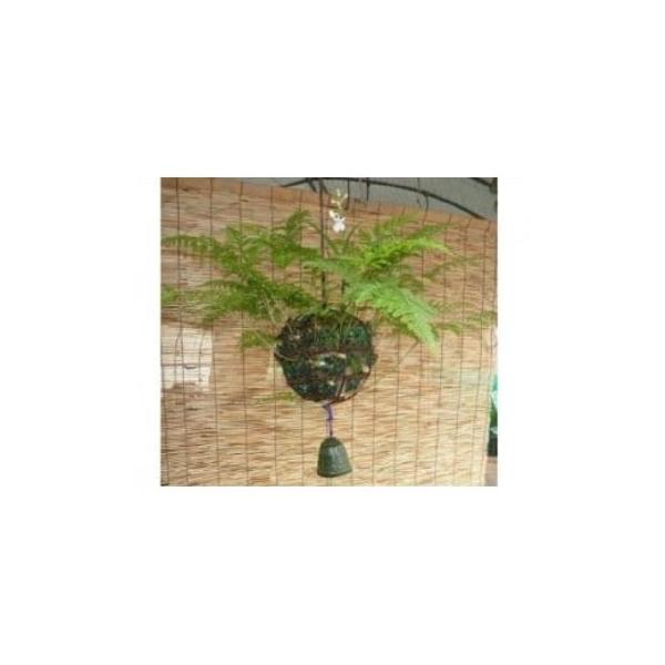 タイプ：【常温】