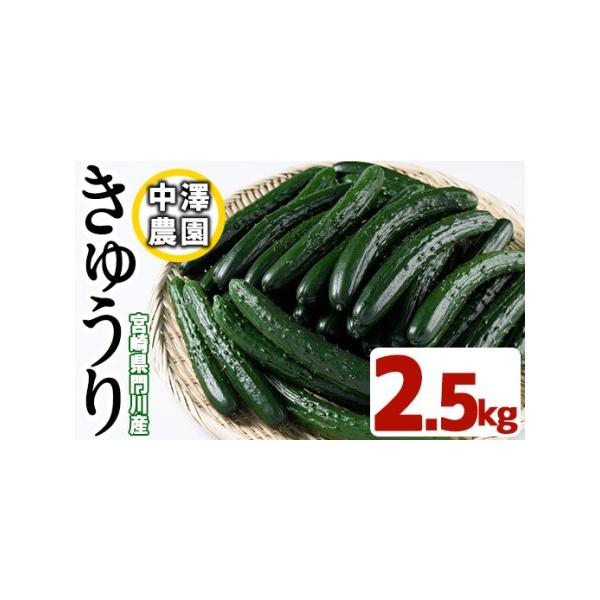 ■ 容量　2.5kg×1箱■ 配送について　入金確認後、約1ヶ月以内に発送　※お申込みが集中した場合や、年末年始（11月〜翌年2月）を含む繁忙期には、通常よりもお届けまでにお時間をいただく場合がございます。あらかじめご了承ください。　タイプ...