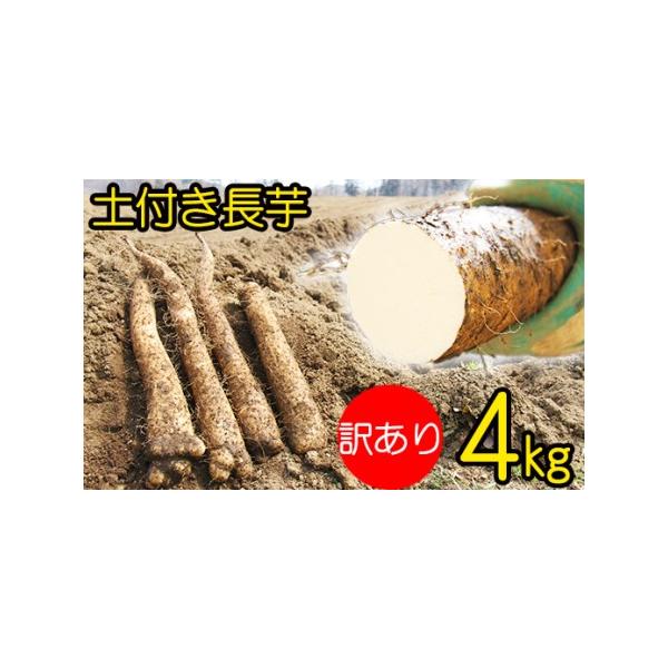 ■ 容量　4kg■ 配送について　寄附納入確認後、2026年4月上旬より発送いたします。　2026年4月上旬以降は、寄附納入確認後、1ヶ月以内に発送いたします。　タイプ：【常温】