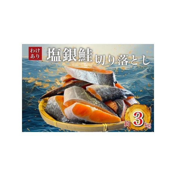 ふるさと納税 【訳あり】人気の海鮮お礼品 チリ産 定塩 塩銀鮭 ふるさと納税 【訳あり】人気の海鮮お礼品 チリ産 定塩 塩銀鮭