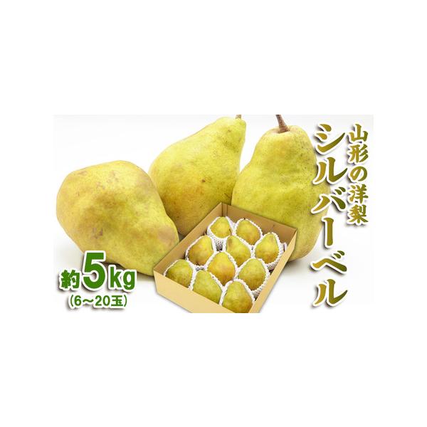 ■ 容量　【令和8年産】　山形産 シルバーベル 秀品 約5kg(6〜20玉)■ 配送について　【申込期日】2026年12月13日まで　【発送期間】2026年11月27日頃〜2026年12月27日頃　※状況により配送時期が前後する場合がござい...