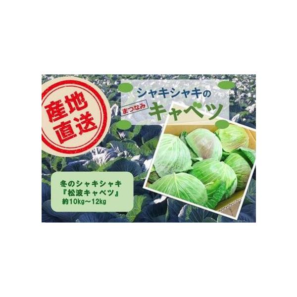 ■ 容量　５〜８個　約10kg〜12kg　（Ｍサイズの場合：７〜８個・Ｌサイズの場合：６個）　※個数・サイズは「おまかせ」になりますのでご了承ください■ 配送について　2025年12月中旬頃?2026年2月中旬頃（順次発送）※農作物につき育...