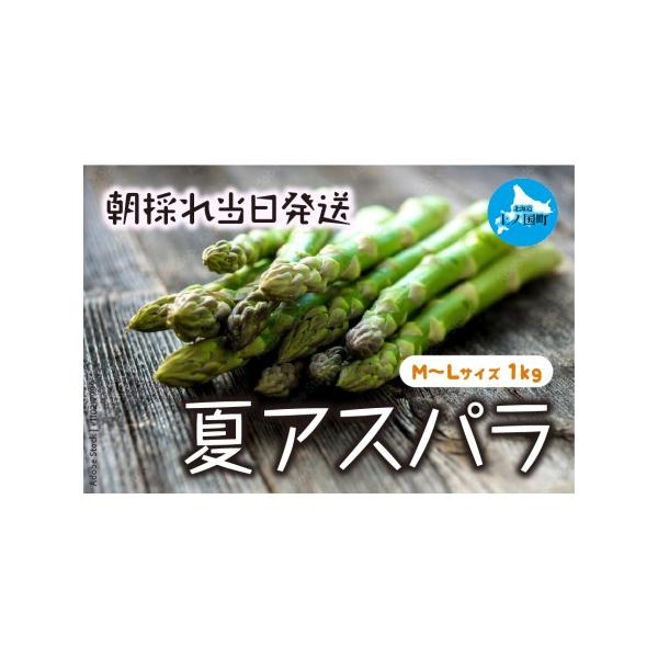 ■ 容量　Ｍ〜Ｌ（１kg）■ 配送について　2026年6月下旬から準備でき次第、順次発送いたします　タイプ：【冷蔵】