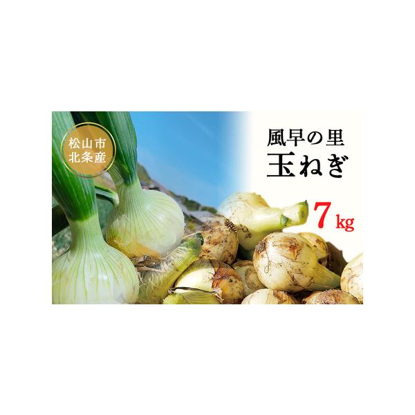 ■ 容量　7kg■ 配送について　6月上旬から順次発送予定です。　準備が整い次第発送いたします。　※青果物の生育状況により発送期間・入数が多少前後する可能性があります。　タイプ：【常温】