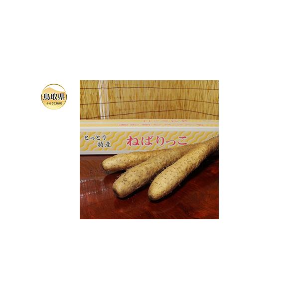 ■ 容量　3〜4本　1週間程度　タイプ：【常温】