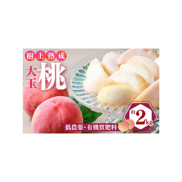 ■ 容量　桃　約2kg箱（大玉6個）■ 配送について　2026年7月中旬〜順次発送予定　（発送日・到着予定日等のご案内はしておりません） 北海道・沖縄県を含むすべての離島へのお届け不可の為、ご寄附いただいてもキャンセルとなりますので予めご了...