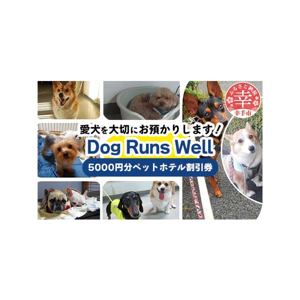 ■ 容量　ペットホテル宿泊利用券　（5000円×1枚分）　※1泊以上のペット宿泊コースに適用　　有効期限：チケット発行日から1年間■ 配送について　入金確認後、1週間以内に郵送にて発送いたします。