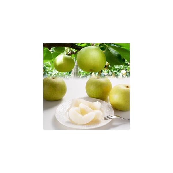 ■ 容量　Ｌ〜５Ｌ　４ｋｇ前後（１０〜２０玉前後）■ 配送について　・生産や仕入れ・生育・加工状況等、または自然災害などにより、お届け期間が前後する場合や、内容が変更となる場合があります。　・宛先不明・不在等により返送となった場合、再配送は...