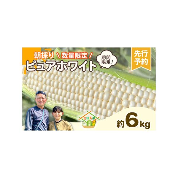 ■ 容量　とうもろこし（ピュアホワイト）約6kg（約13〜15本入り）　※生ものですので天候により、とうもろこしの生育状況が変わってきます。大きさが小さい場合は本数が多くなる場合もあります。■ 配送について　2026年6月下旬から順次発送　...