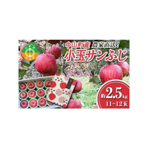 ふるさと納税 ≪2026年先行予約≫ 農家直送 山形県中山町産 小玉サン