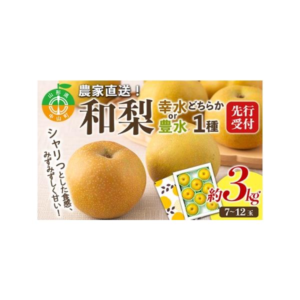 ■ 容量　約3kg(7〜12玉)　「幸水」または「豊水」のどちらか1種■ 配送について　8月中旬〜9月中旬頃に順次発送　タイプ：【冷蔵】