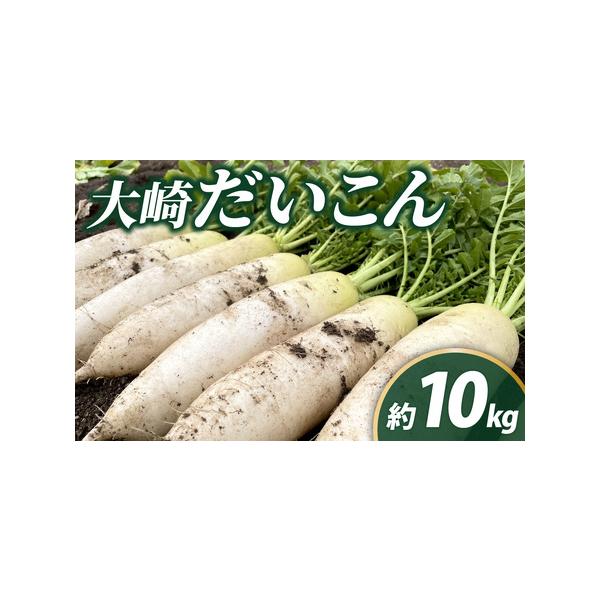 ■ 容量　大崎だいこん 10kg（1箱）　　【アレルギー表示】　特定原材料8品目および特定原材料に準ずる20品目は使用していません。■ 配送について　2026年10月以降順次発送予定　（受付期間：2026年9月30日まで）　　※生育状況によ...