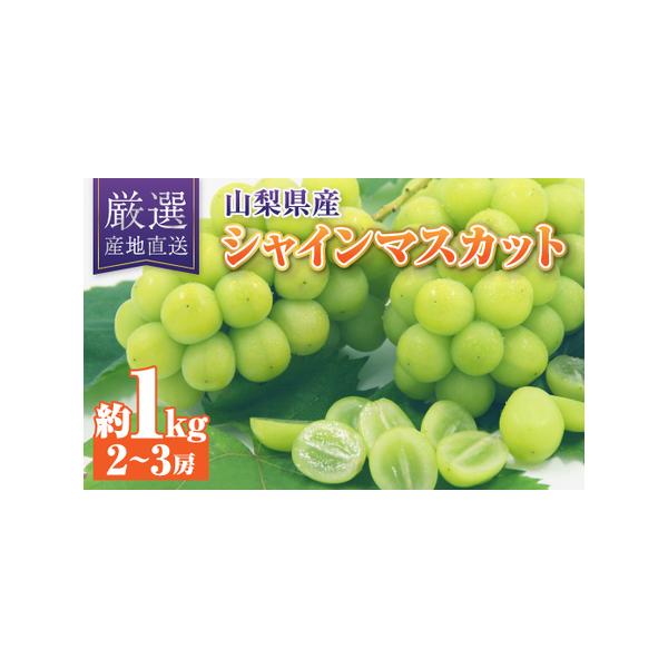 ■ 容量　※上記に記載■ 配送について　2026-08-27〜2026-11-05　タイプ：【冷蔵】