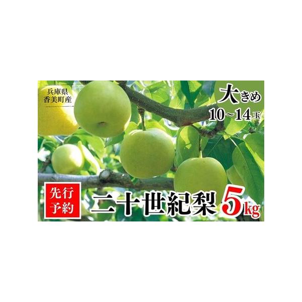 ■ 容量　二十世紀梨　秀品（Aランク）約5kg（1玉350g〜500gを10〜14玉）　※基本は大玉をお届けしますが、天候に左右されて小玉となる場合がございます。なお、サイズ規格の違いのみで、品質、総重量に相違はございません。　　青果のため...