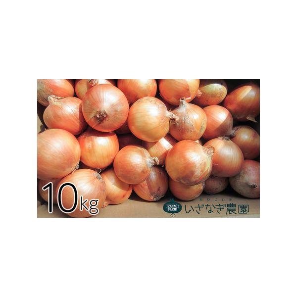 ■ 容量　淡路島たまねぎ　10kg　　賞味期限：約2週間程度　　到着後はお早めにお召し上がりください。　　配送方法：常温　■ 配送について　お申込み後、順次発送　　タイプ：【常温】