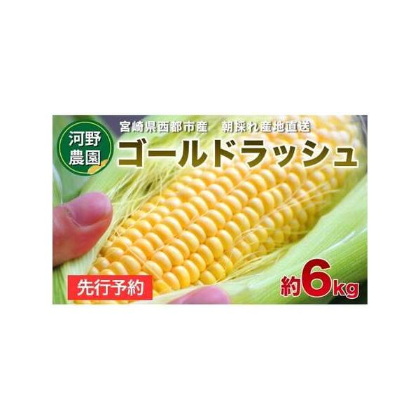 ■ 容量　約6kg　15本〜20本■ 配送について　令和8年5月から6月あたりまでの発送になります　天候により発送が遅れる場合がございます　※生ものですので、ご不在がありましたら必ずご連絡をお願いします　タイプ：【冷蔵】