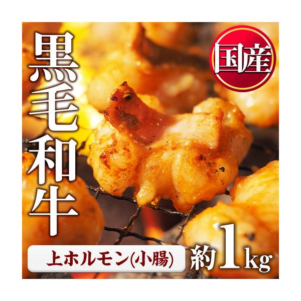 ふるさと納税 黒毛和牛 牛ホルモン  (計1kg) ホルモン 【LRプラスK】 No.1001-02 鹿児島県日置市