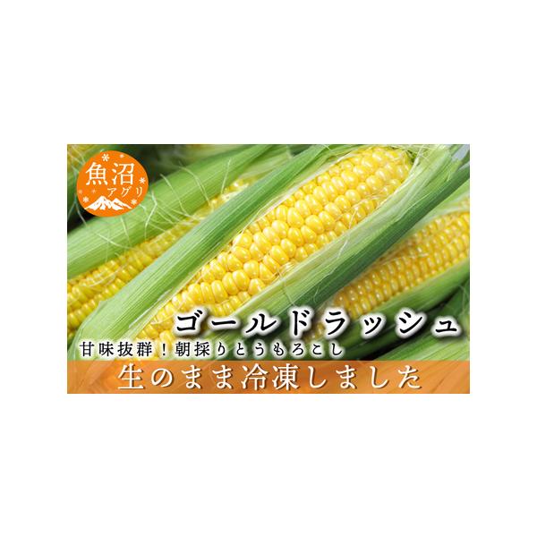 ■ 容量　内容量：とうもろこし（ゴールドラッシュ）3本入りを2袋　とうもろこし（ゴールドラッシュ）バラ（粒）300g入りを2袋　産地：新潟県魚沼市　■ 配送について　寄附入金確認後、随時発送　　タイプ：【冷凍】