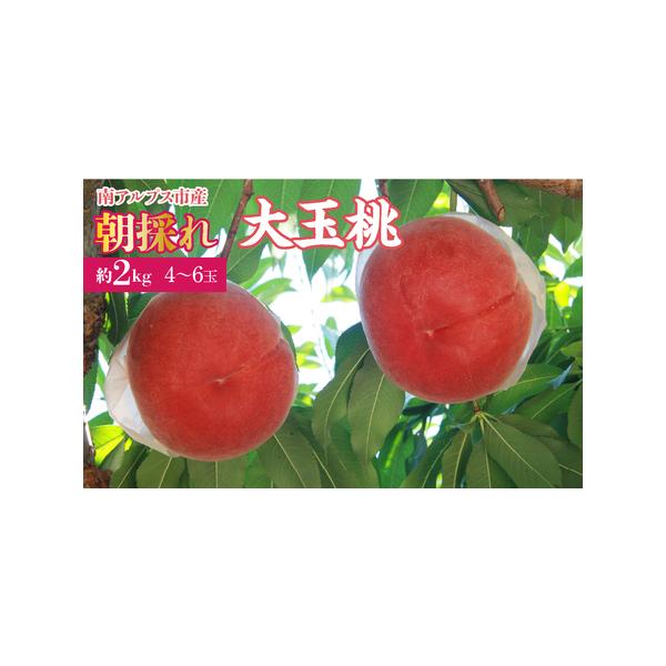 ■ 容量　もも約2kg（4〜6玉）　■ 配送について　・常温便／翌々日到着地域はクール便　・2026/6月下旬〜2026/8月下旬　・沖縄・離島への配達不可　タイプ：【常温】【冷蔵】