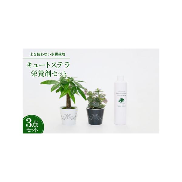 ■ 容量　※上記に記載■ 配送について　2026年1月より順次発送　タイプ：【常温】