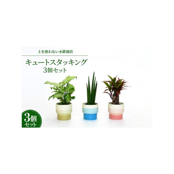 ■ 容量　※上記に記載■ 配送について　2026年1月より順次発送　タイプ：【常温】