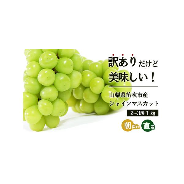 ■ 容量　訳ありシャインマスカット2房〜3房 約1.0kg　訳あり返礼品となりますのでご注意をお願い致します。■ 配送について　※離島・沖縄県はお届けできません。　タイプ：【冷蔵】