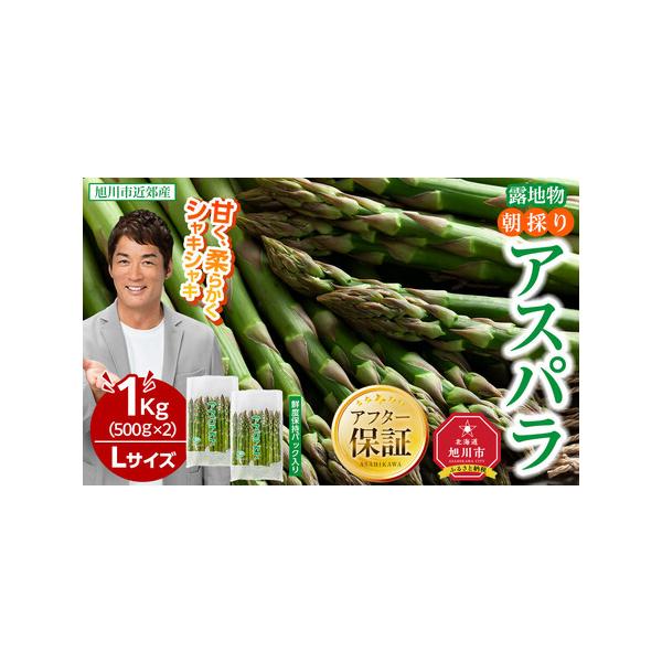 ■ 容量　アスパラ　Lサイズ　1kg（500g×2）　【賞味期限】　出荷日より7日間■ 配送について　2026年5月中旬より順次発送予定　■お申込みの際は下記ご了承いただいた上、お申込みくださいませ■　※収穫状況により発送時期が前後する可能...