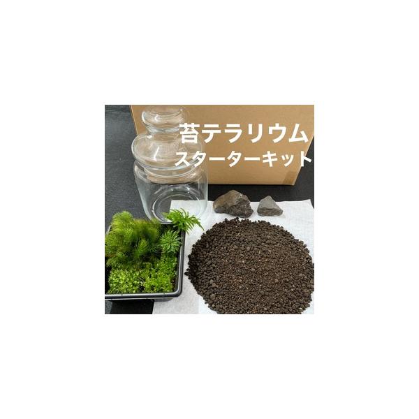 ■ 容量　苔５種パック　・ガラス容器 ・石（オブジェ用）・専用ソイル（用土）・ツール　・苔 5 種パック（コツボゴケ・シッポゴケ・ヒノキゴケ・オオカサゴケ・コウヤノマンネングサ）　・ガラス容器（幅8.5 cm×高さ 14 cm程度）　・石（...