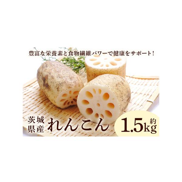 ■ 容量　れんこん 1.5kg×1箱■ 配送について　入金確認後、順次発送予定となります。　(出荷可能期間：8月上旬〜2月中旬)　※季節物のため、配送日時の希望等は受けられませんのでご了承ください。　※天候により出荷時期が前後する場合がござ...