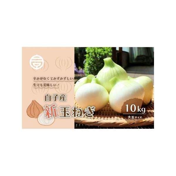 ■ 容量　白子玉ねぎ 10kg■ 配送について　令和８年5月中旬以降に順次配送　※天候により前後する場合もございます　※沖縄・離島への配送不可です。　タイプ：【常温】