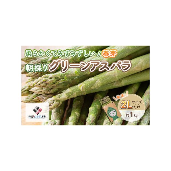 ■ 容量　ハウスアスパラ(春芽)2L 1kg　■ 配送について　2026年4月上旬より順次発送　　※収穫状況により発送予定から前後する場合がございます。　※配送不可地域：離島 　タイプ：【冷蔵】