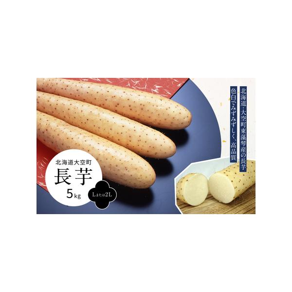 ■ 容量　長芋5kg■ 配送について　月末締め翌月１０日頃発送　タイプ：【常温】