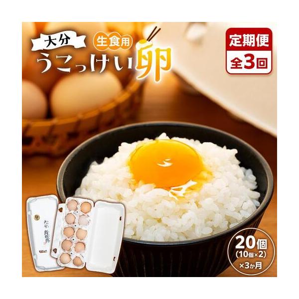 ふるさと納税 【定期便 全3回】大分うこっけい卵　生食用20個（10個×2）×3回 大分県由布市