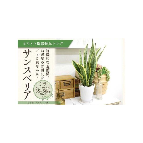 ■ 容量　■内容量/原産地　設置後の高さ:約35cm〜50cm内外(鉢底より)　幅:約20〜30cm【陶器製鉢皿付き】/福岡県朝倉郡筑前町■ 配送について　2026年3月中旬以降順次発送いたします。※北海道・沖縄県・離島にはお届けできません...