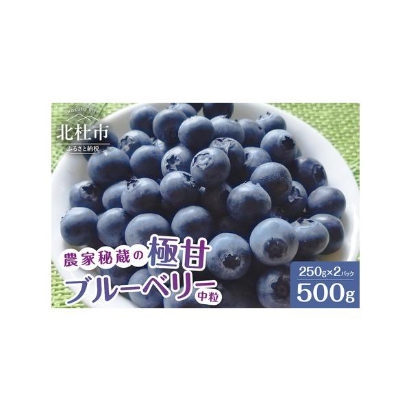 ■ 容量　250gパック×2個(計500g)　　【消費期限】　到着後　冷蔵で1週間以内、冷凍で約半年。　※生鮮品のため、お早めにお召し上がりください。　　【申込可能な期間】　〜2026年5月31日まで　※在庫状況により申込期間が変更になる可...