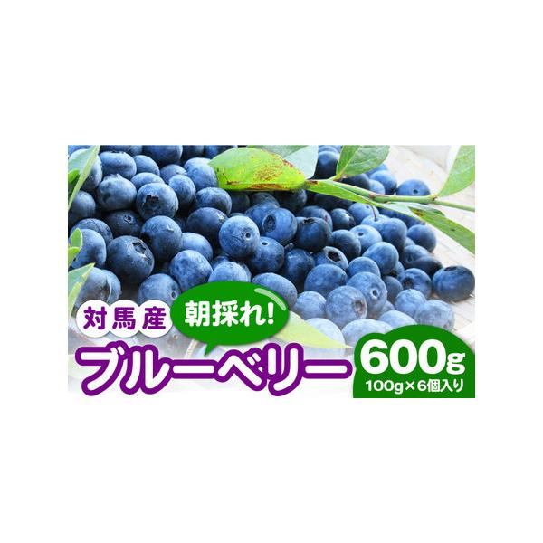 ■ 容量　100g×6個入りを箱でお届けします。■ 配送について　2026年6月下旬より順次発送　※生育状況によっては発送時期が前後する場合がございます。　タイプ：【冷蔵】