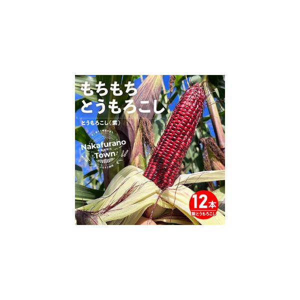 ■ 容量　もちもちトウモロコシ紫　12本　※商品の受け取り後は、すぐに商品の状態をご確認ください。　　≪地場産品に該当する理由≫　区域内（中富良野町）の農園で生産されたものである■ 配送について　2026年8月下旬〜9月中旬の発送になります...