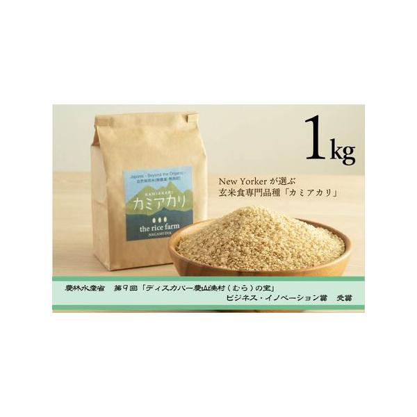 ふるさと納税 【009-08】【幻の玄米】 自然栽培 カミアカリ 玄米 1ｋｇ