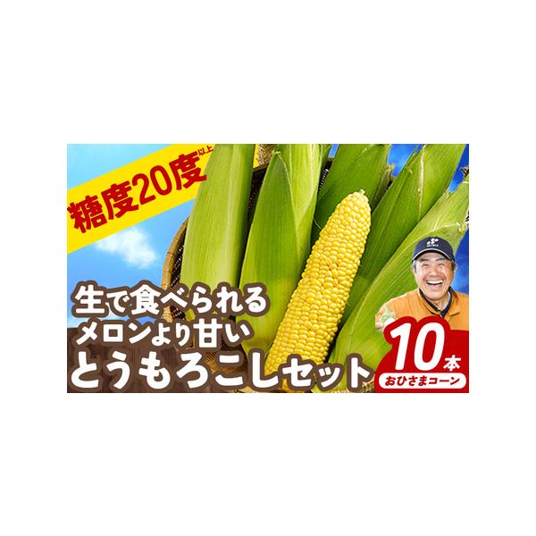 ■ 容量　おひさまコーン10本　※種植えや収穫状況により、別の品種になる場合があります。■ 配送について　【先行予約】こちらは2026年度の予約受付です。（※発送予定時期をご確認ください。）　2026年の発送になりますので、発送間近になりま...