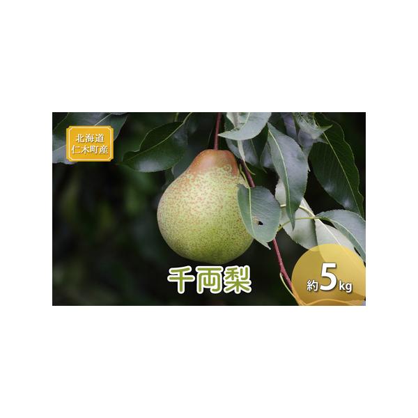 ■ 容量　千両梨　約5kg 　産地：仁木町　　※ふるさと納税返礼品地場産品基準(平成31年総務省告示第179号第5条)のうち該当する類型について　仁木町内において生産されたものであることから第１号に該当。　■ 配送について　2026年9月中...