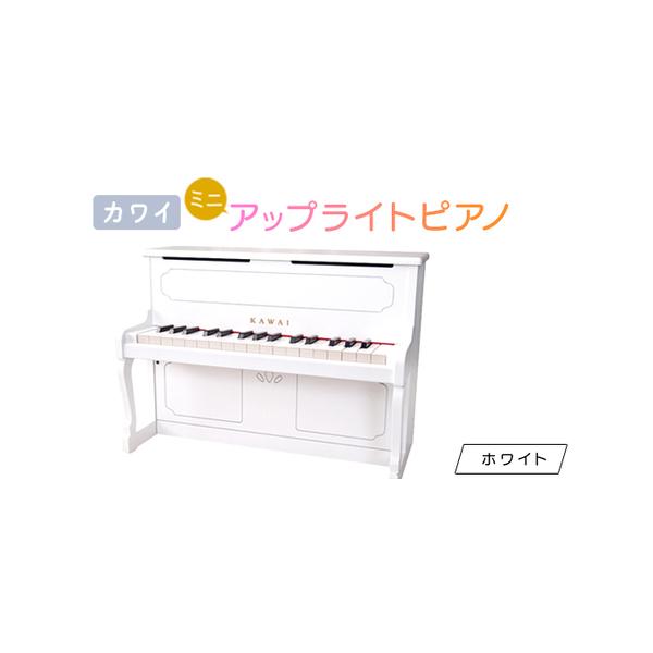 ■ 容量　※上記に記載■ 配送について　2024/2/5以降、お申込より1週間程度で順次発送　タイプ：【常温】